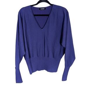 Women's Express V-Neck Banded Bottom SoHo Sweater Purple top - XL